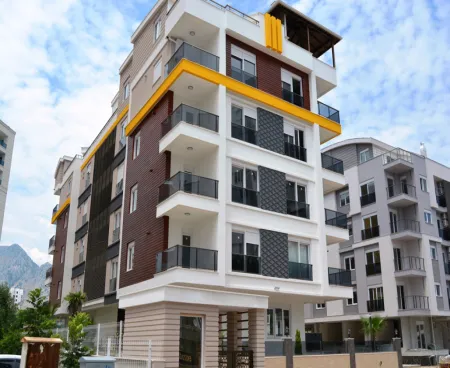 luxury 2 bedroom apartment for sale in hurma with natural gas